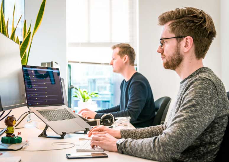 web design and development